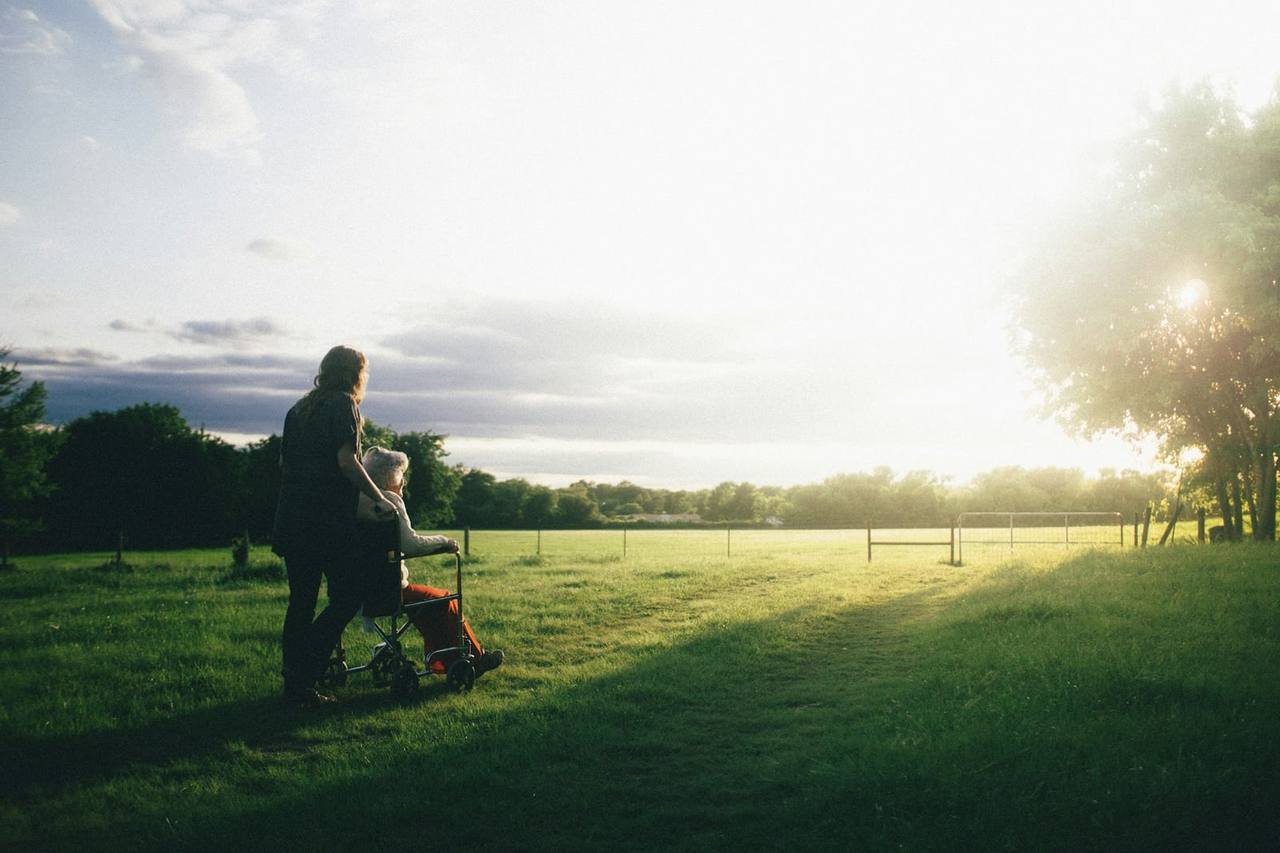 A carer pushing a person in a wheelchair across a sunlit park